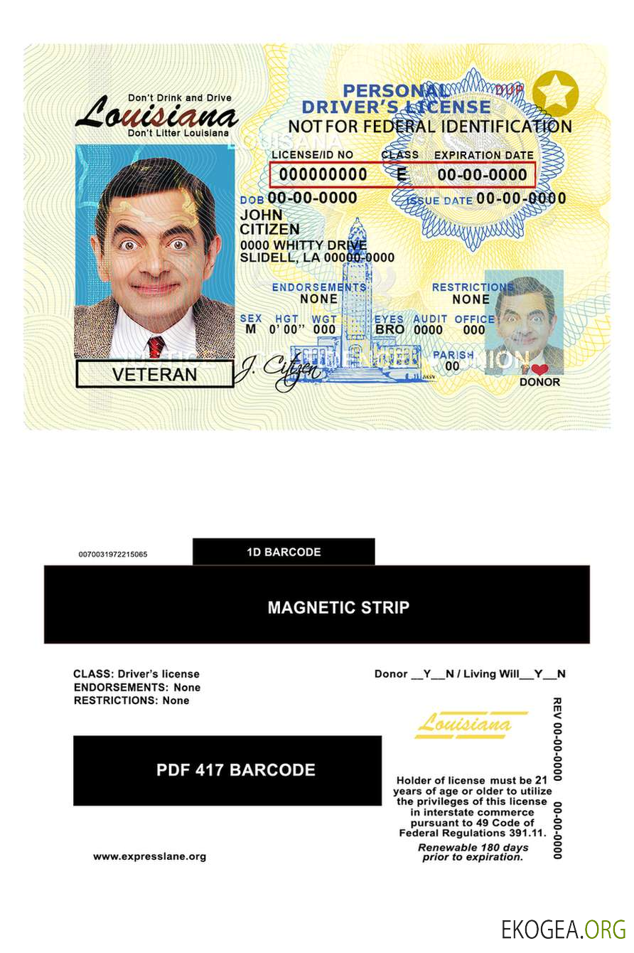 Usa Louisiana template